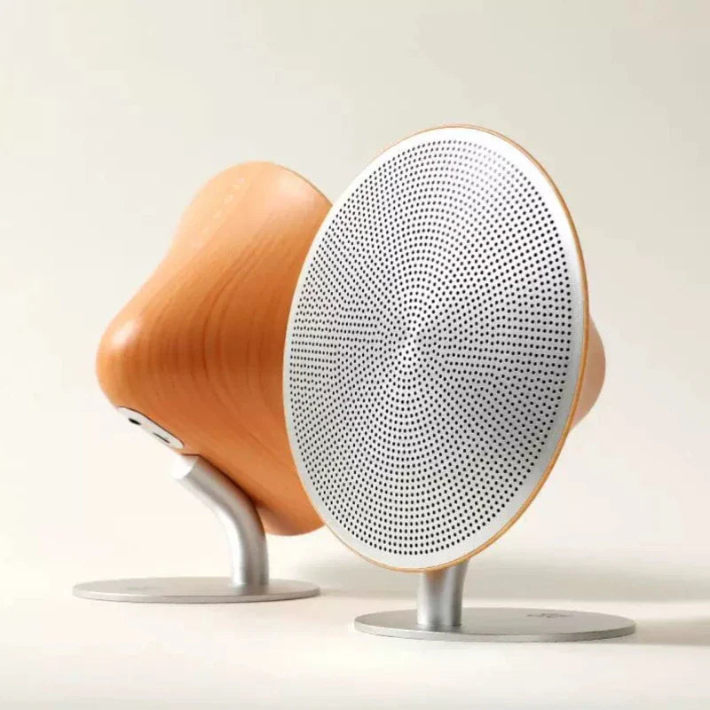 Enceinte Bluetooth Design