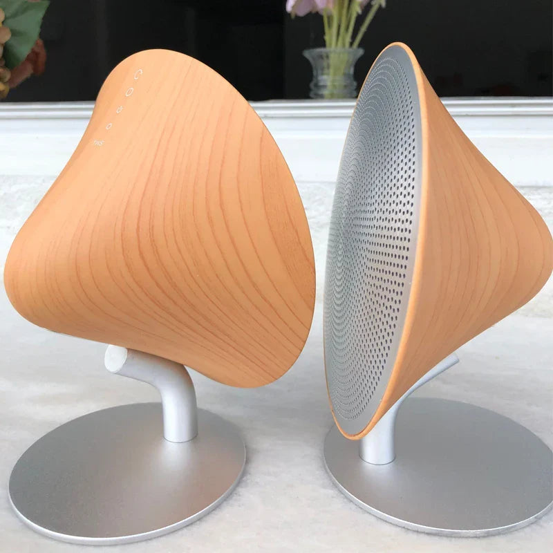 Enceinte Bluetooth Design