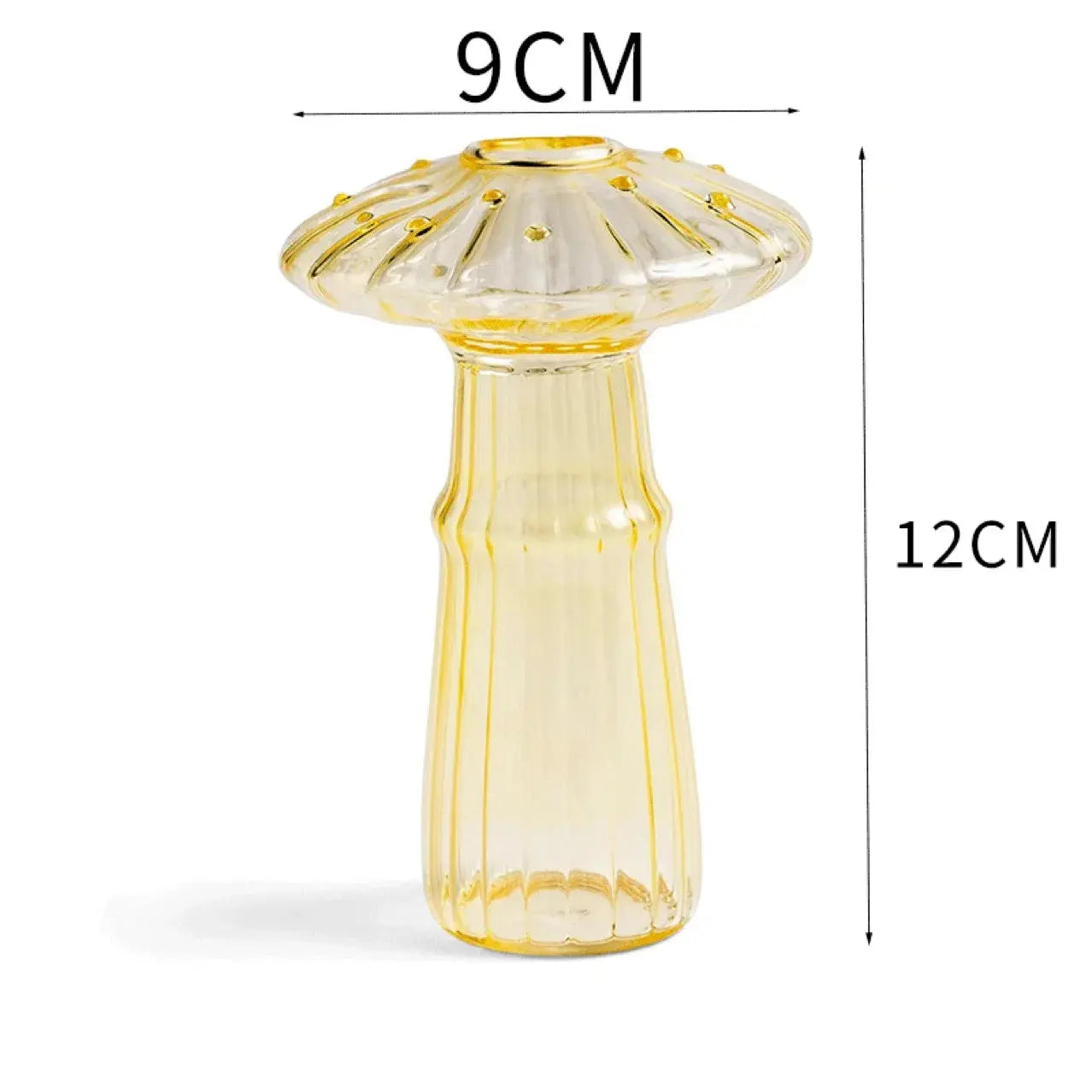 Vase en Verre Transparent Champignon