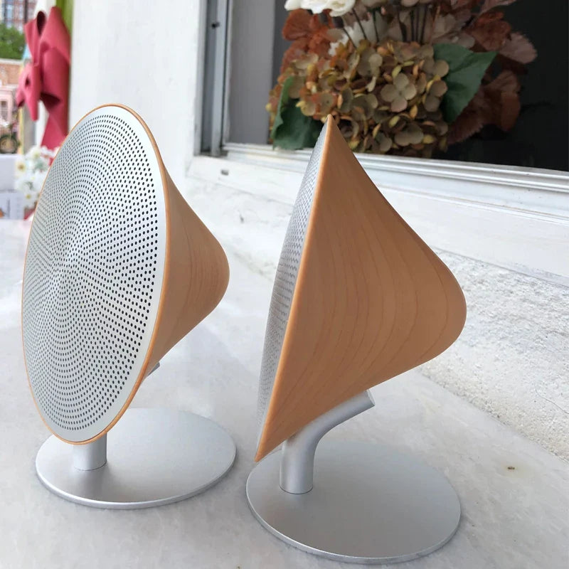 Enceinte Bluetooth Design