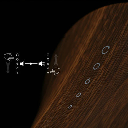 Enceinte Bluetooth Design