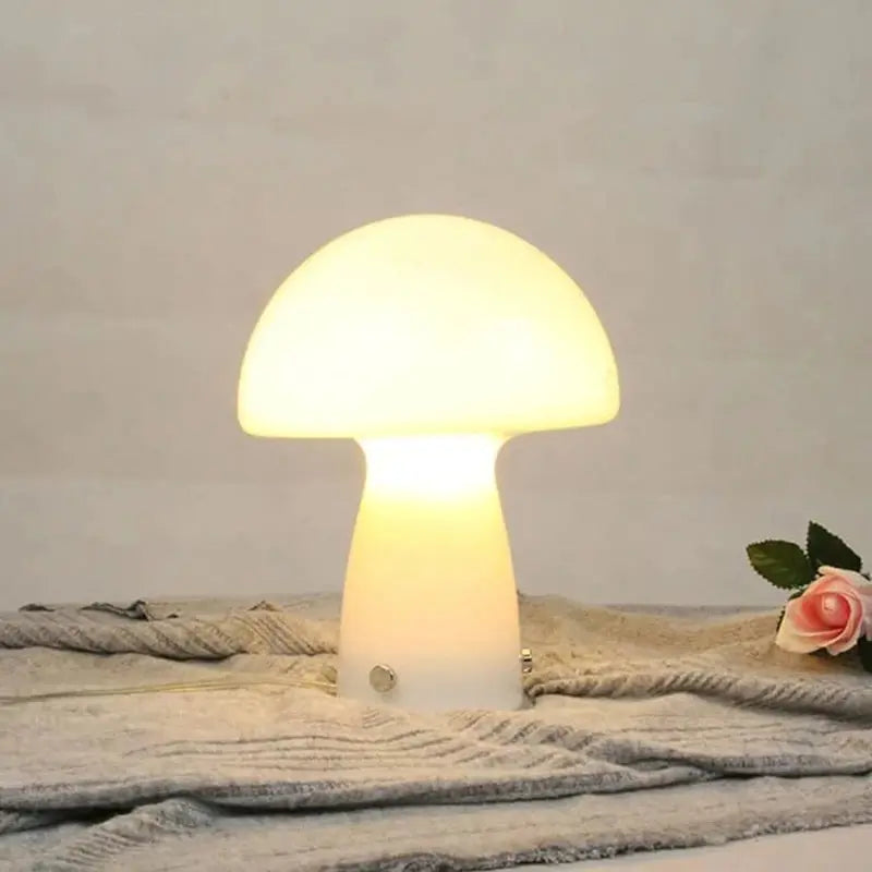 Lampe de Table en Verre