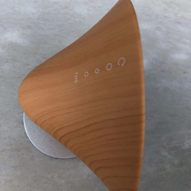 Enceinte Bluetooth Design