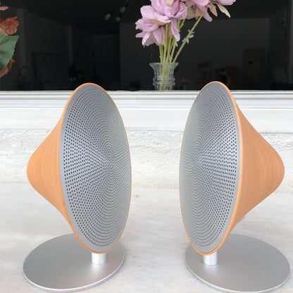Enceinte Bluetooth Design